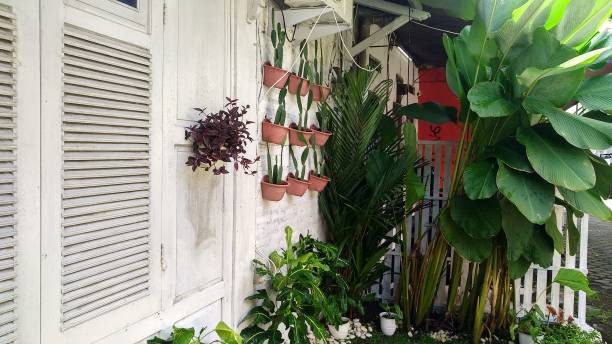 istock beautiful tropical flower garden ideas 1377554839