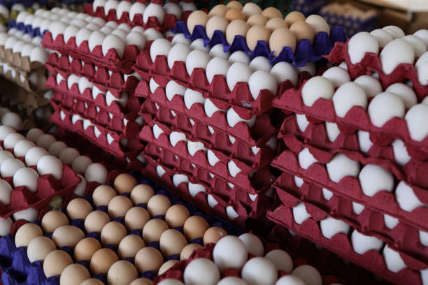 istock a lot of chicken eggs in egg boxes 1377587165