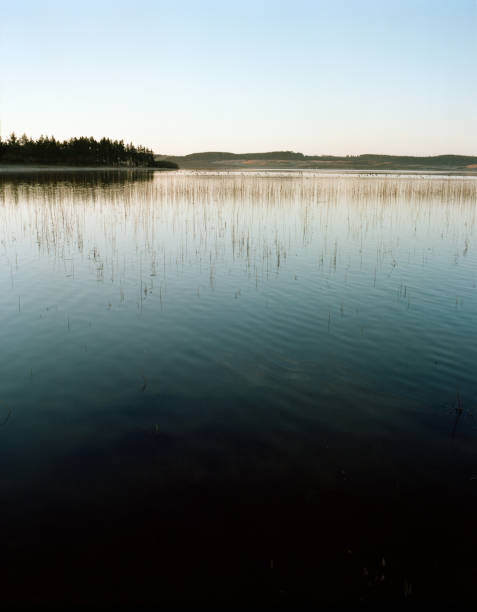 Scandinavia is a group of countries in northern Europe that includes Denmark, Norway and Sweden, sometimes also Finland, Iceland and the Faroe Islands.