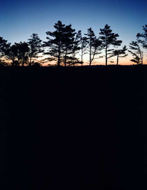 istock Scandinavian Winter morning 1377591463