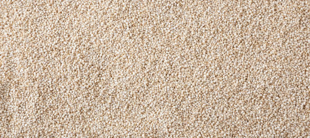 istock Dried white quinoa seeds background 1377598975