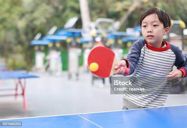 Boy Playing Table Tennis In Garden Stock Photo - Download Image Now - Table Tennis, Child, Education