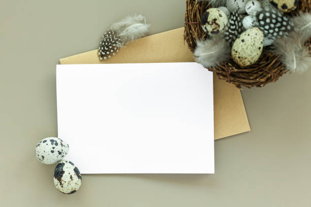istock Easter mockup with blank letter and quail eggs 1377616133