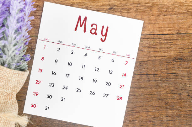 istock May 2022 calendar with flower on wooden background. 1377658961