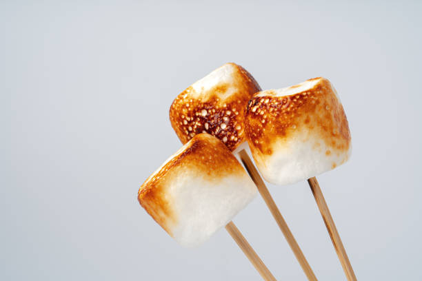 istock Roasted Marshmallow on a stick, isolated on a white background. 1377666014