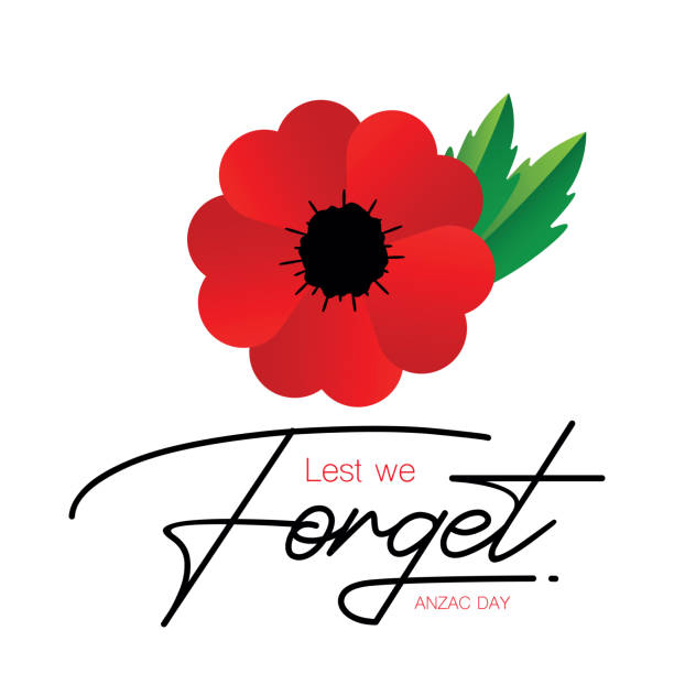 Remembrance Day also known as Poppy Day or Armistice day: Minimalistic poppy flower and text Lest We Forget. Vector stock illustration Remembrance Day also known as Poppy Day or Armistice day. Minimalistic poppy flower and text Lest We Forget. Vector stock illustration red poppy stock illustrations