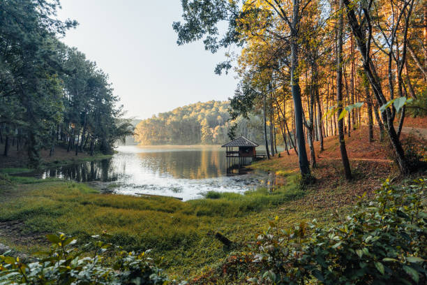istock Beatiful nature lake and forest in the morning 1377675423