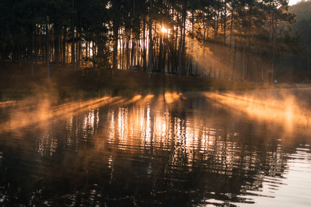 istock Beatiful nature lake and forest in the morning 1377675427