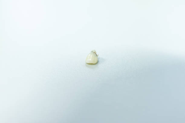 istock Study of human parts model in science lab. 1377676853