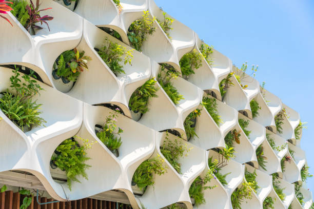 istock Urban vertical garden design - close up 1377686802