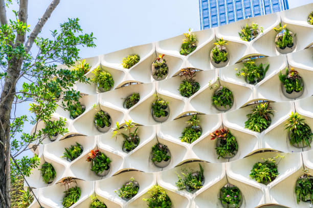 istock Vertical garden in the city 1377689025