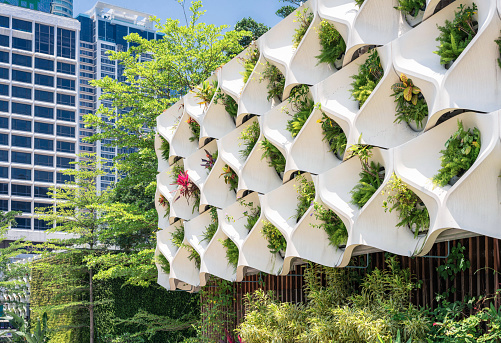 Plants growing in a vertical wall arrangement at Hong Kong's Salisbury Garden, a small public park in Tsim Sha Tsui, Kowloon.