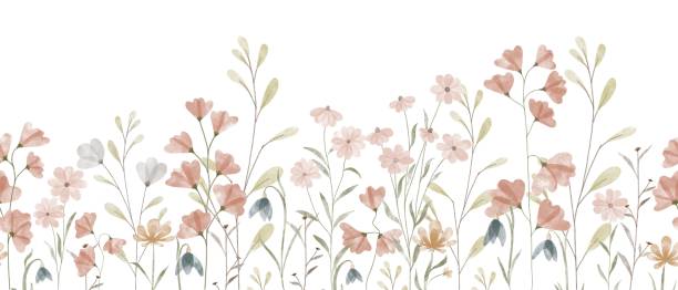 florales sommerliches horizontales muster mit wildblumen. aquarell handgezeichnet isolierte illustration rand, wiese oder blumenhintergrund für ihr design. - wildflower stock-grafiken, -clipart, -cartoons und -symbole