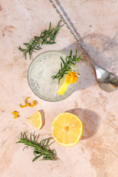 gin tonic alcohol drink cocktail with lemon zest and rosemary - food styling imagens e fotografias de stock