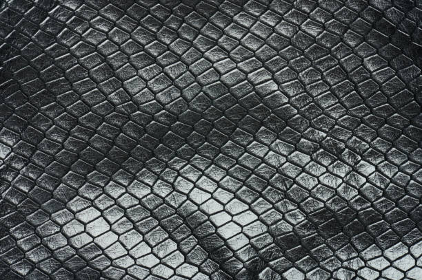 istock Rhombus shape black skin texture 1377713944