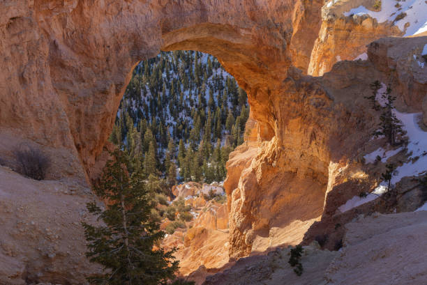 a scenic winter landscape of Bryce Canyon Utah