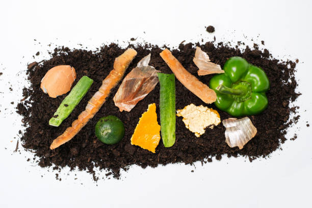istock Food leftovers and soil on white background close-up top view, compost concept. 1377730642