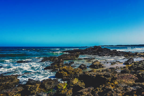 istock The beautiful ocean and cliffs in Australia. 1377733932