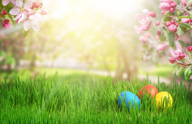 istock Colorful Easter eggs with blooming apple branches on green grass background. Copy space 1377733939