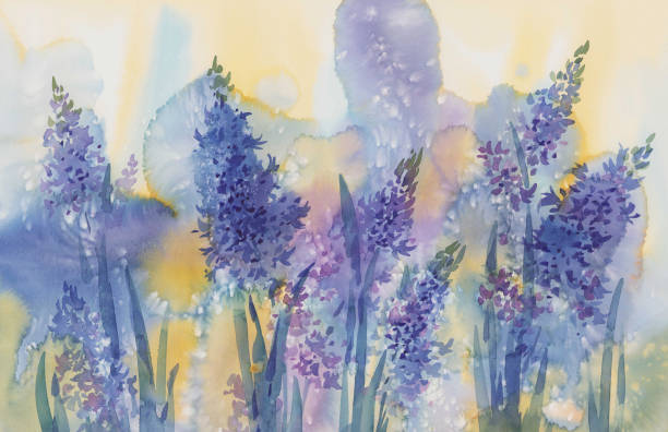 istock Color hyacinth spring flowers sunny watercolor background 1377746025