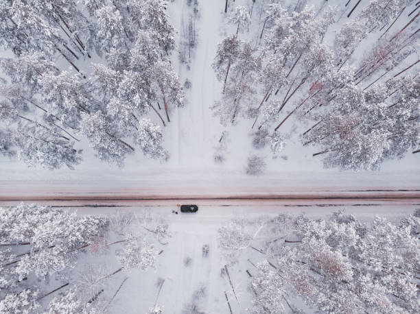 istock First snow in spruce tree forest. Driving in forest after snowfall, aerial drone view. Snowy forest road. Pine trees as a background. Winter landscape from air. Natural forest background. 1377752983