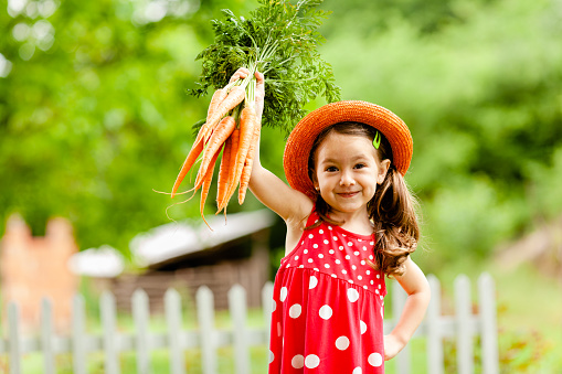 Sweet little girl holding fresh picked vegetable from the garden
