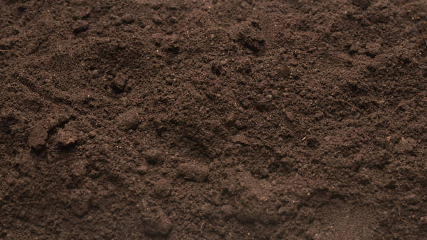 istock Black land for plant background. Top view. 1377806137