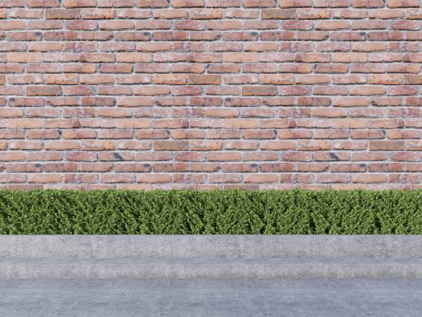 istock Empty brick walls have outside bushes 1377832490