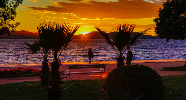 Palm trees frame a tranquil sea under a fading evening sky