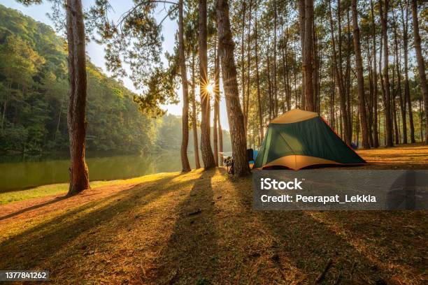 The Beautiful Scenery Of A Tent In A Pine Tree Forest At Pang Oung Mae Hong Son Province Thailand Stock Photo - Download Image Now