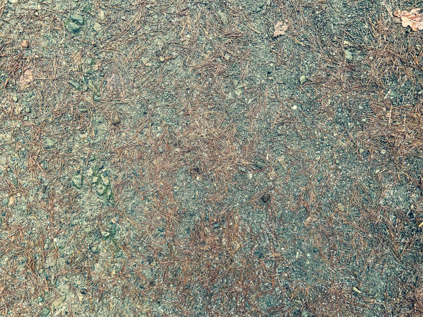 Wet and dirty concrete.