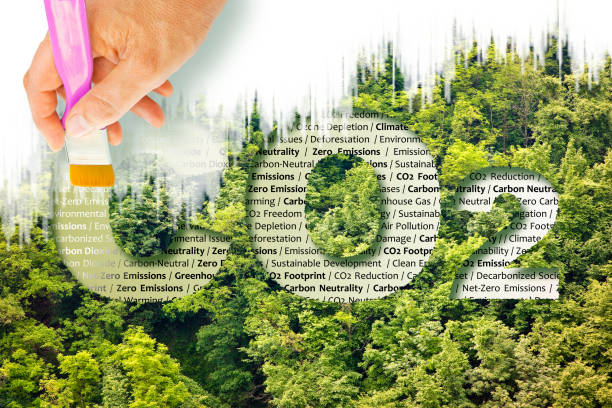 istock From carbon dioxide to oxygen - CO2 Net-Zero Emission - Carbon Neutrality concept against a forest with removing letter C from CO2 to get oxygen 1377881952
