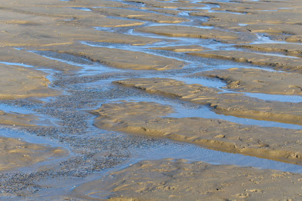 istock Streams running along Kijkduin Beach. Netherlands. 1377899127