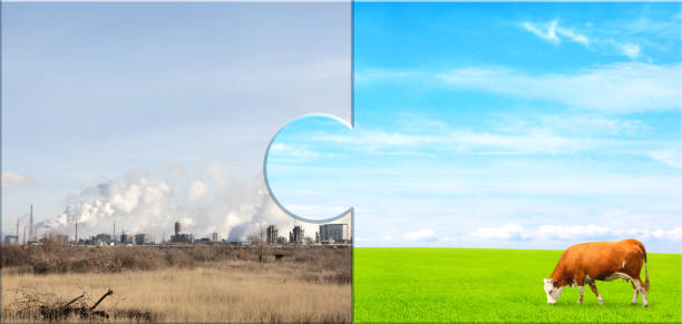 istock Ecology, nature, pollution, and clean energy concept. Environmental Protection 1377919785