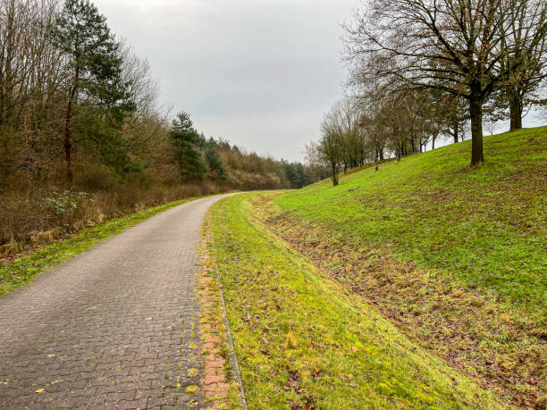istock A path next to a forest and a meadow in winter in rainy weather. 1377924091