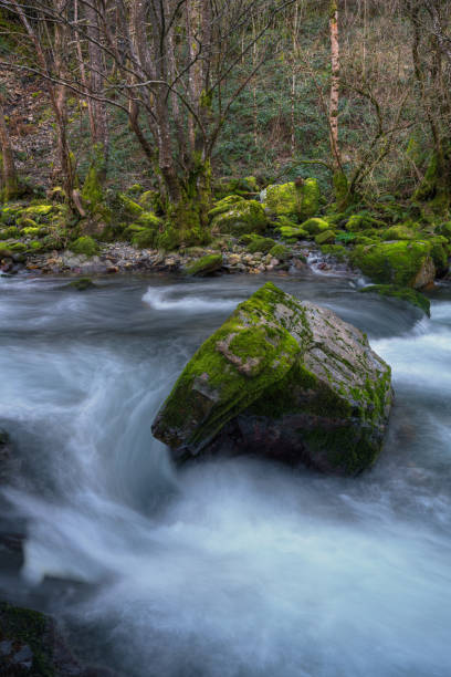 Large limestone rock in the middle of a fast flowing stream stock photo