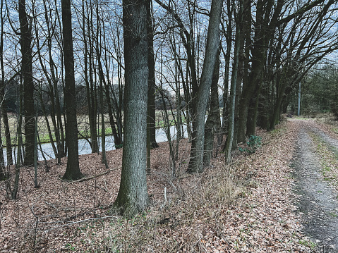 View of a river through some trees and next to a path in winter.
