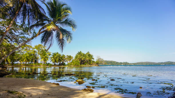 istock Tropical environment of a beautiful and colourful island 1377970176