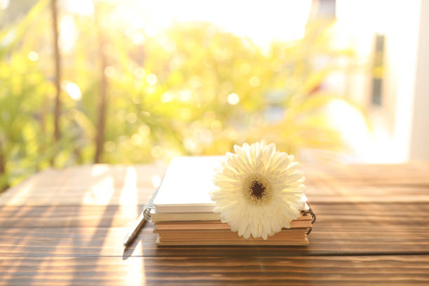 White gerbera and notebooks on old brown wooden table