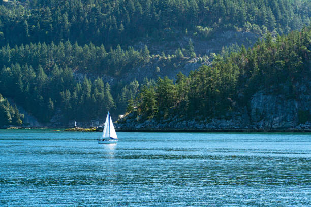 istock Sailboat and Hillsides 1377977183