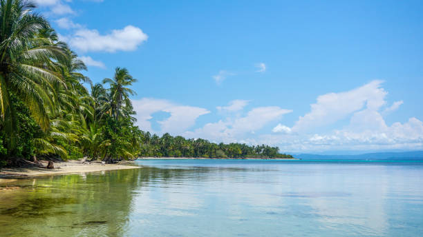 istock Tropical wallpaper environment of a beautiful island 1377978817