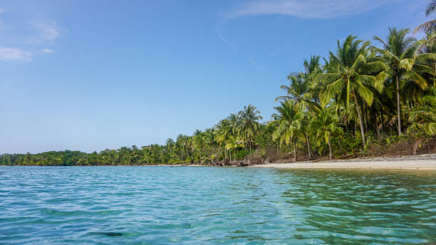 istock Tropical wallpaper environment of a beautiful island 1377979880