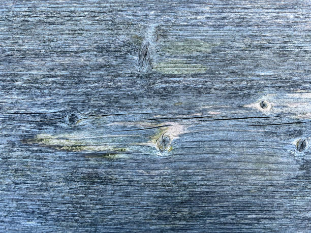 istock Very old and light wood with fibers as texture or background. 1377982047