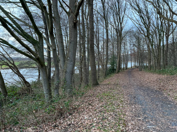 istock A forest path next to the river called 