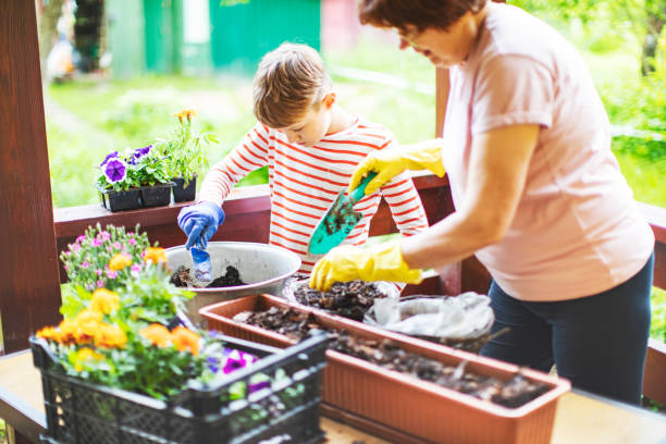 istock Grandmother and grandson potting 1377984185