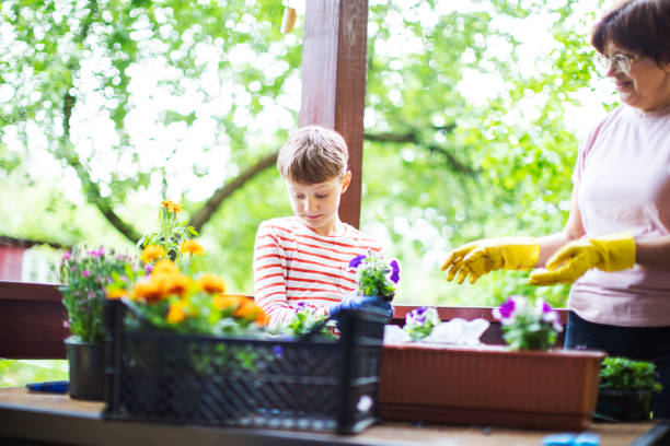 istock Grandmother and grandson potting 1377984194