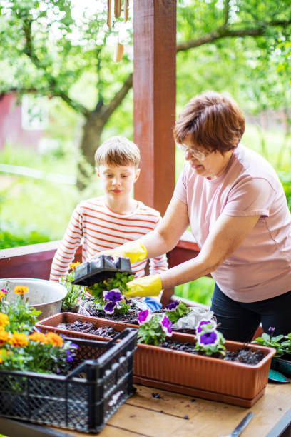 istock Grandmother and grandson potting 1377984202