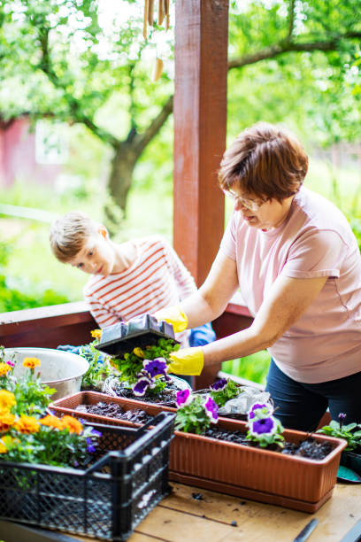 istock Grandmother and grandson potting 1377985777