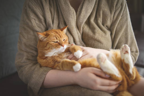 istock young woman sitting on sofa with cat 1377985795