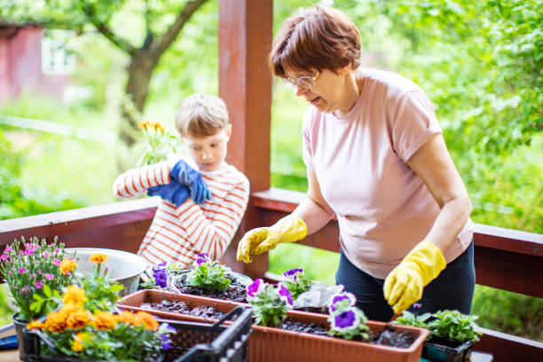 istock Grandmother and grandson potting 1377986329